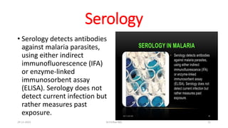 Serology
• Serology detects antibodies
against malaria parasites,
using either indirect
immunofluorescence (IFA)
or enzyme-linked
immunosorbent assay
(ELISA). Serology does not
detect current infection but
rather measures past
exposure.
29-11-2023 Dr.T.V.Rao MD 31
 