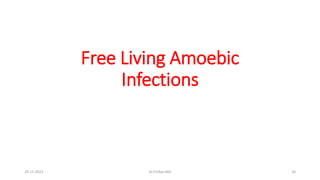 Free Living Amoebic
Infections
29-11-2023 Dr.T.V.Rao MD 34
 