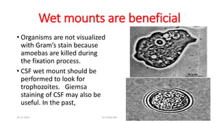 Wet mounts are beneficial
• Organisms are not visualized
with Gram’s stain because
amoebas are killed during
the fixation process.
• CSF wet mount should be
performed to look for
trophozoites. Giemsa
staining of CSF may also be
useful. In the past,
29-11-2023 Dr.T.V.Rao MD 38
 