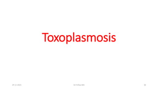 Toxoplasmosis
29-11-2023 Dr.T.V.Rao MD 46
 