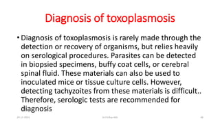 Diagnosis of toxoplasmosis
• Diagnosis of toxoplasmosis is rarely made through the
detection or recovery of organisms, but relies heavily
on serological procedures. Parasites can be detected
in biopsied specimens, buffy coat cells, or cerebral
spinal fluid. These materials can also be used to
inoculated mice or tissue culture cells. However,
detecting tachyzoites from these materials is difficult..
Therefore, serologic tests are recommended for
diagnosis
29-11-2023 Dr.T.V.Rao MD 48
 