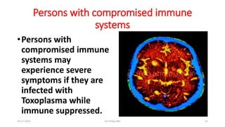 Persons with compromised immune
systems
•Persons with
compromised immune
systems may
experience severe
symptoms if they are
infected with
Toxoplasma while
immune suppressed.
29-11-2023 Dr.T.V.Rao MD 52
 