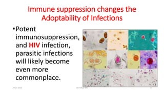 Immune suppression changes the
Adoptability of Infections
•Potent
immunosuppression,
and HIV infection,
parasitic infections
will likely become
even more
commonplace.
29-11-2023 Dr.T.V.Rao MD 6
 