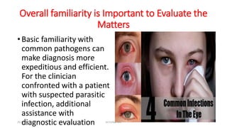 Overall familiarity is Important to Evaluate the
Matters
• Basic familiarity with
common pathogens can
make diagnosis more
expeditious and efficient.
For the clinician
confronted with a patient
with suspected parasitic
infection, additional
assistance with
diagnostic evaluation
29-11-2023 Dr.T.V.Rao MD 7
 