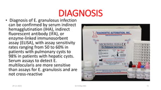 DIAGNOSIS
• Diagnosis of E. granulosus infection
can be confirmed by serum indirect
hemagglutination (IHA), indirect
fluorescent antibody (IFA), or
enzyme-linked immunosorbent
assay (ELISA), with assay sensitivity
rates ranging from 50 to 60% in
patients with pulmonary cysts to
98% in patients with hepatic cysts.
Serum assays to detect E.
multilocularis are more sensitive
than assays for E. granulosis and are
not cross-reactive
29-11-2023 Dr.T.V.Rao MD 71
 