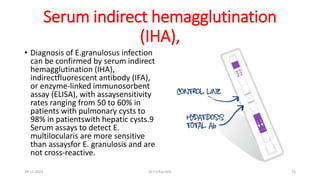 Serum indirect hemagglutination
(IHA),
• Diagnosis of E.granulosus infection
can be confirmed by serum indirect
hemagglutination (IHA),
indirectfluorescent antibody (IFA),
or enzyme-linked immunosorbent
assay (ELISA), with assaysensitivity
rates ranging from 50 to 60% in
patients with pulmonary cysts to
98% in patientswith hepatic cysts.9
Serum assays to detect E.
multilocularis are more sensitive
than assaysfor E. granulosis and are
not cross-reactive.
29-11-2023 Dr.T.V.Rao MD 73
 