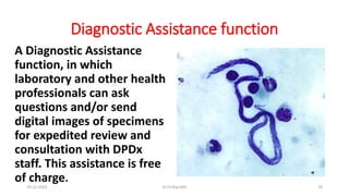 Diagnostic Assistance function
A Diagnostic Assistance
function, in which
laboratory and other health
professionals can ask
questions and/or send
digital images of specimens
for expedited review and
consultation with DPDx
staff. This assistance is free
of charge.
29-11-2023 Dr.T.V.Rao MD 78
 