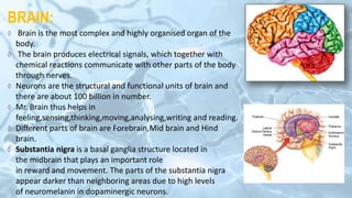 BRAIN:
◊ Brain is the most complex and highly organised organ of the
body.
◊ The brain produces electrical signals, which together with
chemical reactions communicate with other parts of the body
through nerves.
◊ Neurons are the structural and functional units of brain and
there are about 100 billion in number.
◊ Mr. Brain thus helps in
feeling,sensing,thinking,moving,analysing,writing and reading.
◊ Different parts of brain are Forebrain,Mid brain and Hind
brain.
◊ Substantia nigra is a basal ganglia structure located in
the midbrain that plays an important role
in reward and movement. The parts of the substantia nigra
appear darker than neighboring areas due to high levels
of neuromelanin in dopaminergic neurons.
 