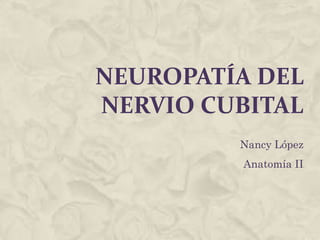 NEUROPATÍA DEL
NERVIO CUBITAL
         Nancy López
         Anatomía II
 