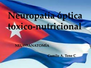 Neuropatía óptica
toxico-nutricional
  {
 NEUROANATOMÍA

             Camilo A. Tene C.
 