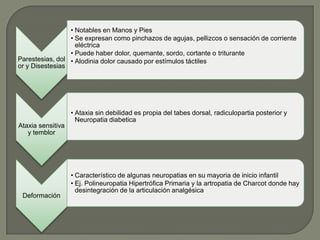 • Notables en Manos y Pies
                 • Se expresan como pinchazos de agujas, pellizcos o sensación de corriente
                   eléctrica
                 • Puede haber dolor, quemante, sordo, cortante o triturante
Parestesias, dol • Alodinia dolor causado por estímulos táctiles
or y Disestesias




                   • Ataxia sin debilidad es propia del tabes dorsal, radiculopartia posterior y
                     Neuropatia diabetica
Ataxia sensitiva
   y temblor




                   • Característico de algunas neuropatias en su mayoria de inicio infantil
                   • Ej. Polineuropatia Hipertrófica Primaria y la artropatia de Charcot donde hay
                     desintegración de la articulación analgésica
 Deformación
 