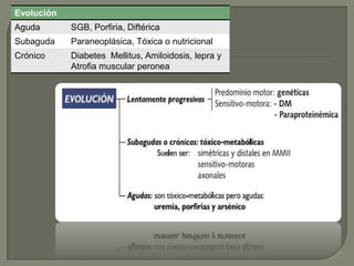 Evolución
Aguda       SGB, Porfiria, Diftérica
Subaguda    Paraneoplásica, Tóxica o nutricional
Crónico     Diabetes Mellitus, Amiloidosis, lepra y
            Atrofia muscular peronea
 