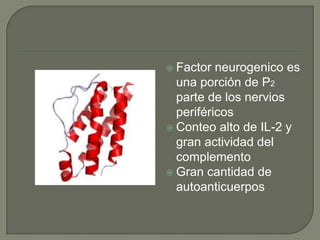  Factor  neurogenico es
  una porción de P2
  parte de los nervios
  periféricos
 Conteo alto de IL-2 y
  gran actividad del
  complemento
 Gran cantidad de
  autoanticuerpos
 