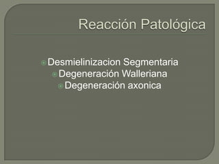  Desmielinizacion
                 Segmentaria
   Degeneración Walleriana
    Degeneración axonica
 