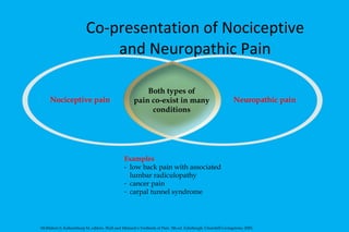 Co-presentation of Nociceptive and Neuropathic Pain Nociceptive pain Examples - low back pain with associated lumbar radiculopathy cancer pain carpal tunnel syndrome Neuropathic pain Both types of pain co-exist in many conditions McMahon S, Koltzenburg M, editors. Wall and Melzack's Textbook of Pain. 5th ed. Edinburgh: Churchill-Livingstone; 2005. 
