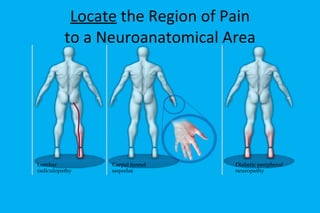 Locate  the Region of Pain to a Neuroanatomical Area Lumbar radiculopathy  Carpal tunnel sequelae  Diabetic peripheral neuropathy 