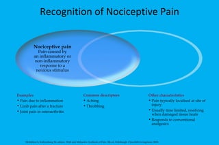 Recognition of Nociceptive Pain Examples Pain due to inflammation  Limb pain after a fracture Joint pain in osteoarthritis Common descriptors Aching Throbbing Nociceptive pain Pain caused by an inflammatory or non-inflammatory response to a noxious stimulus Other characteristics Pain typically localised at site of injury Usually time limited, resolving when damaged tissue heals Responds to conventional analgesics McMahon S, Koltzenburg M, editors. Wall and Melzack's Textbook of Pain. 5th ed. Edinburgh: Churchill-Livingstone; 2005. 