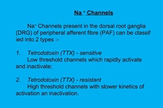 Na  +  Channels Na +  Channels present in the dorsal root ganglia (DRG) of peripheral afferent fibre (PAF) can be classified into 2 types :- 1.  Tetrodotoxin (TTX) - sensitive   Low threshold channels which rapidly activate and inactivate; 2.  Tetrodotoxin (TTX) - resistant High threshold channels with slower kinetics of activation an inactivation. 