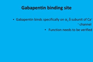 Gabapentin binding site Gabapentin binds specifically on      subunit of Ca ++  channel  Function needs to be verified 