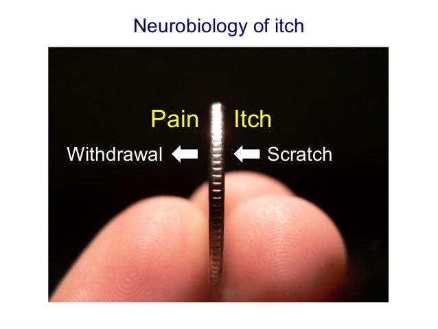 neuropathic itch #10