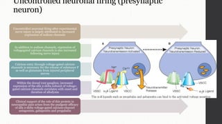 gabapentin and pregabalin calcium channels