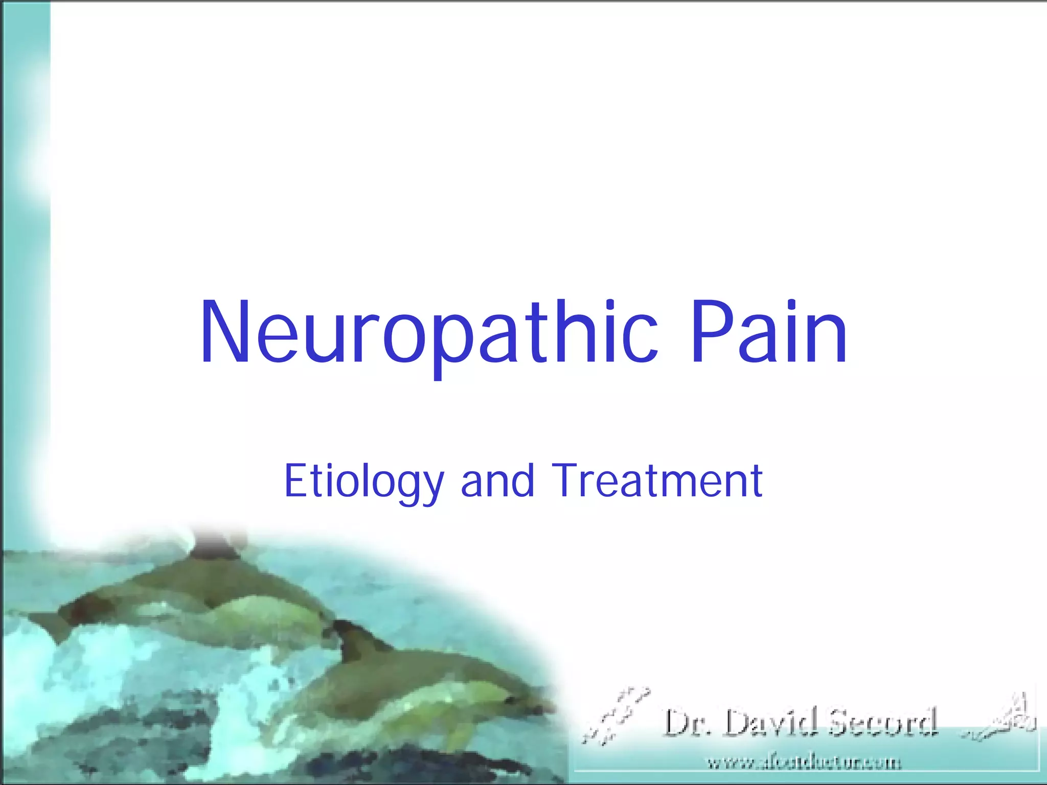 Neuropathic Pain Lecture