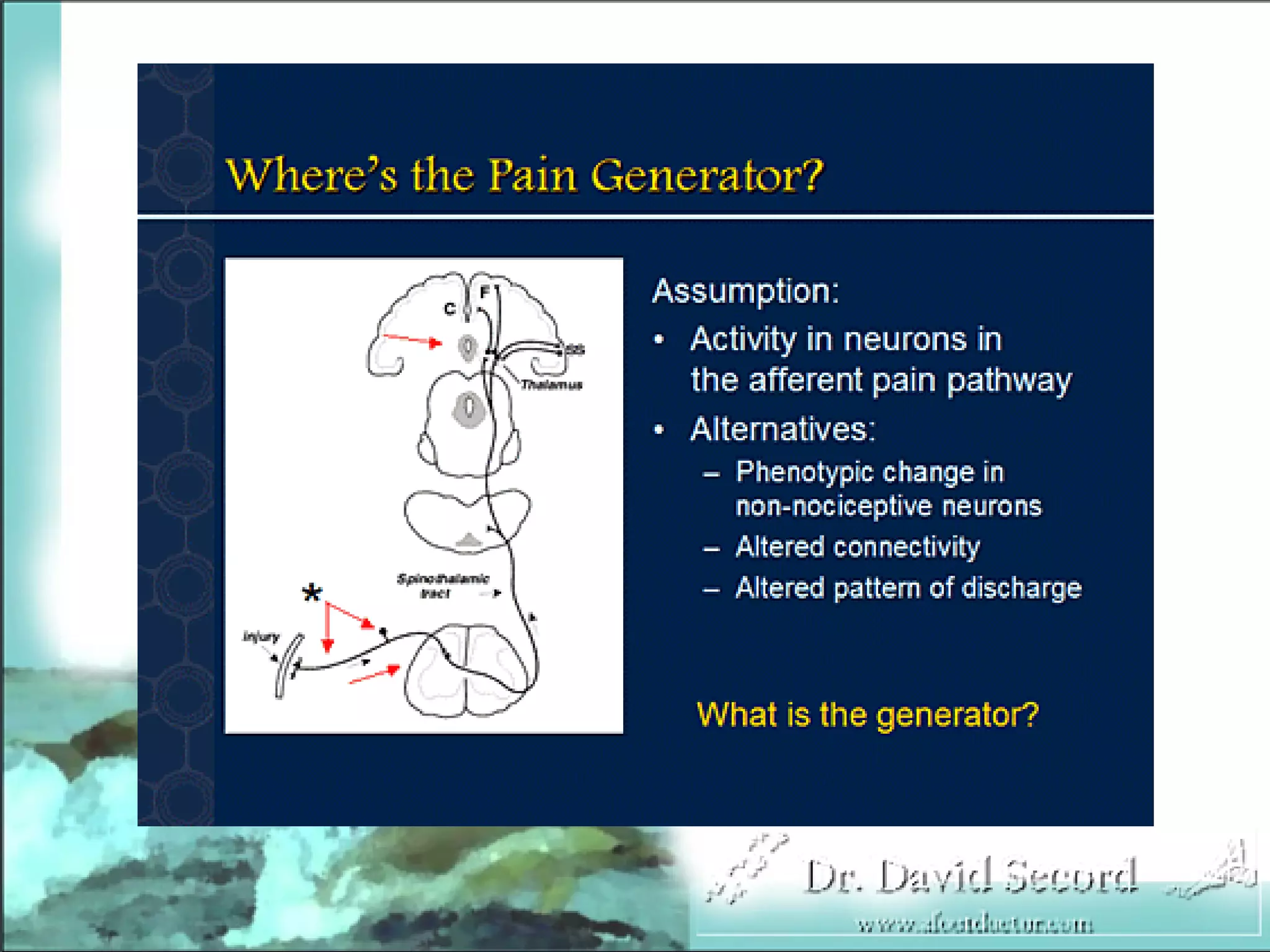 Neuropathic Pain Lecture