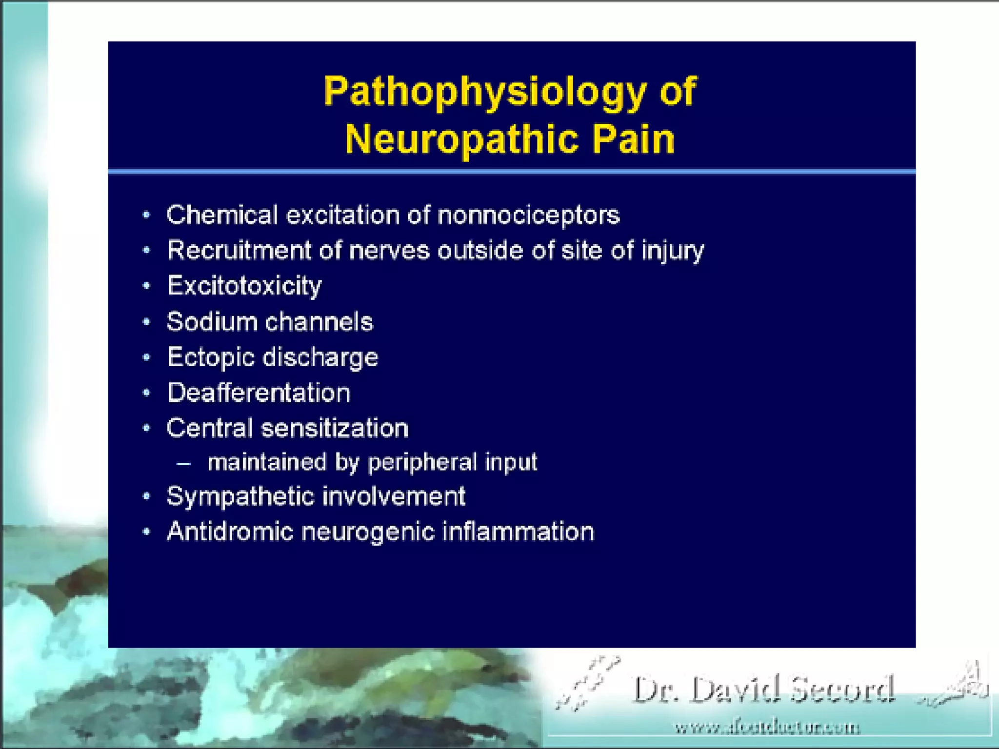 Neuropathic Pain Lecture