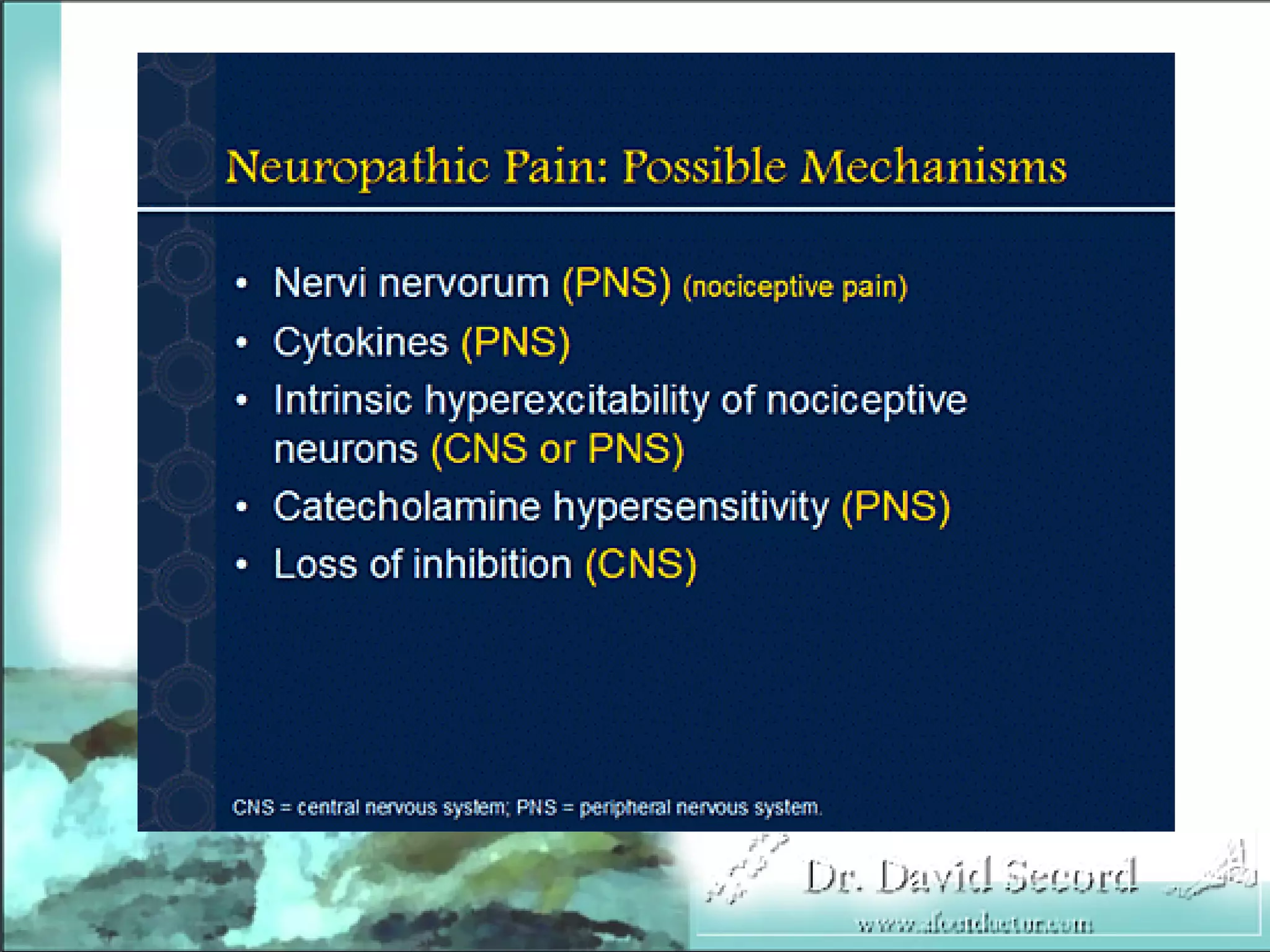 Neuropathic Pain Lecture