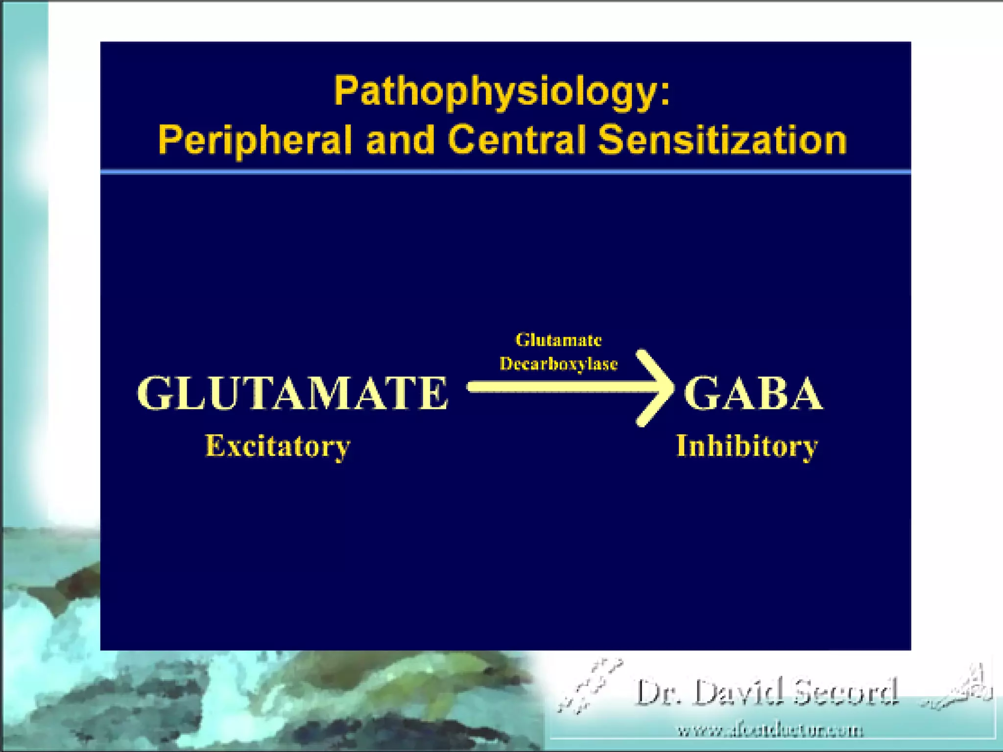Neuropathic Pain Lecture
