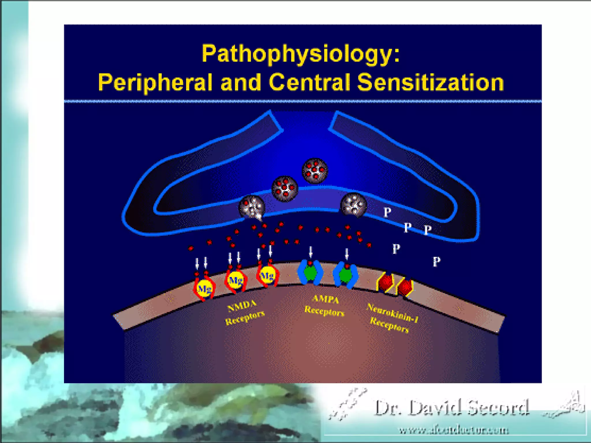 Neuropathic Pain Lecture