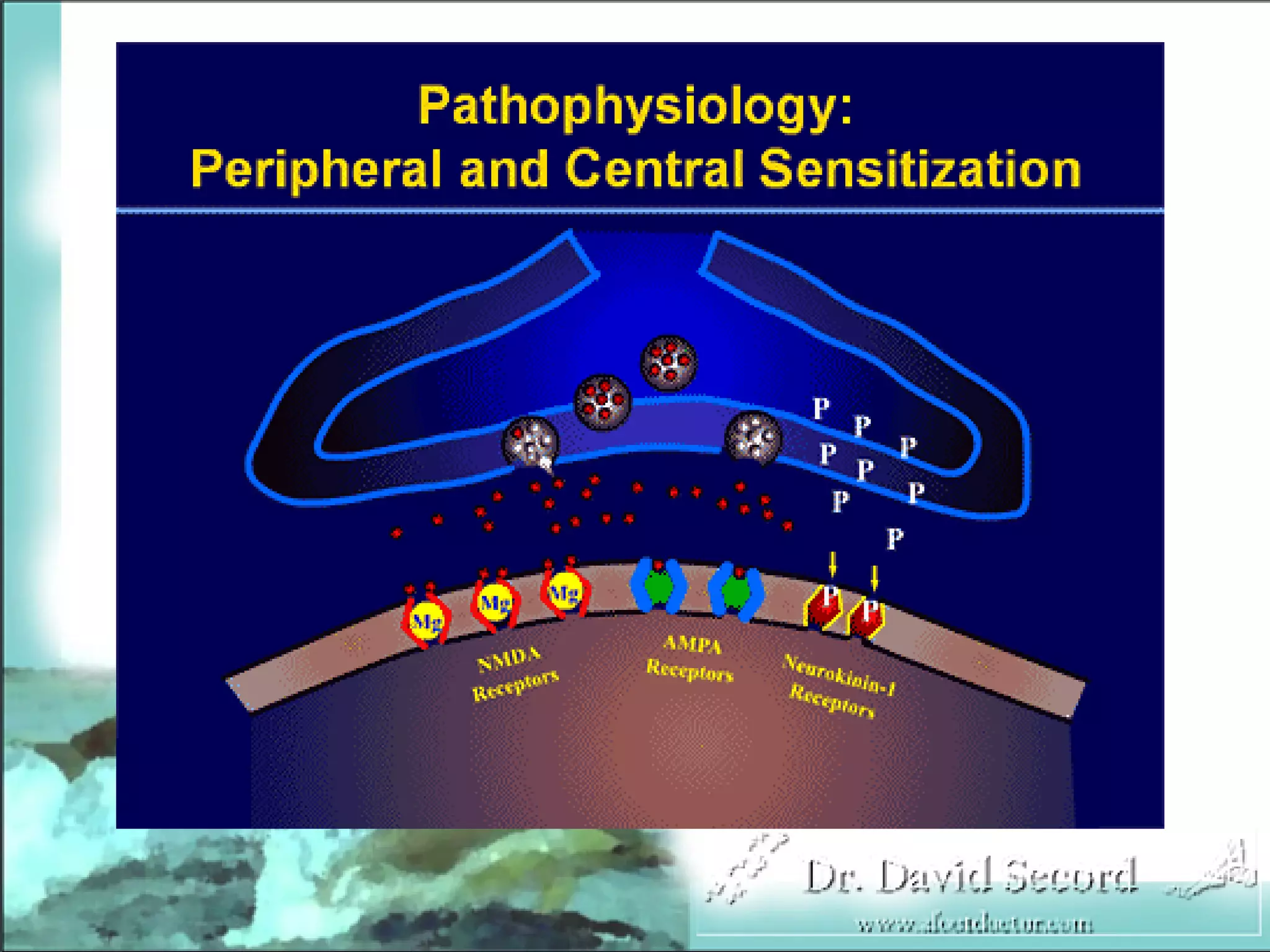 Neuropathic Pain Lecture