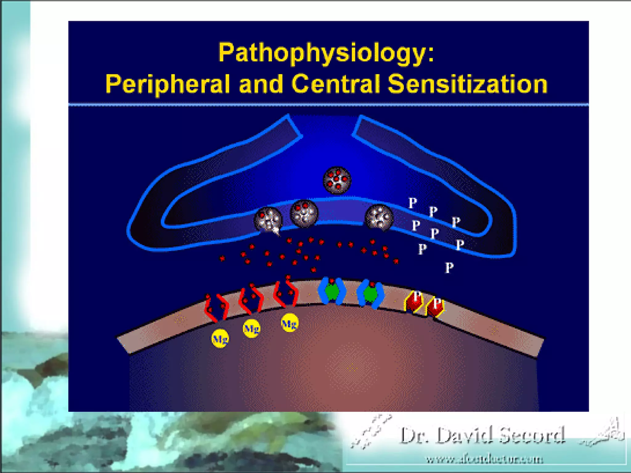 Neuropathic Pain Lecture