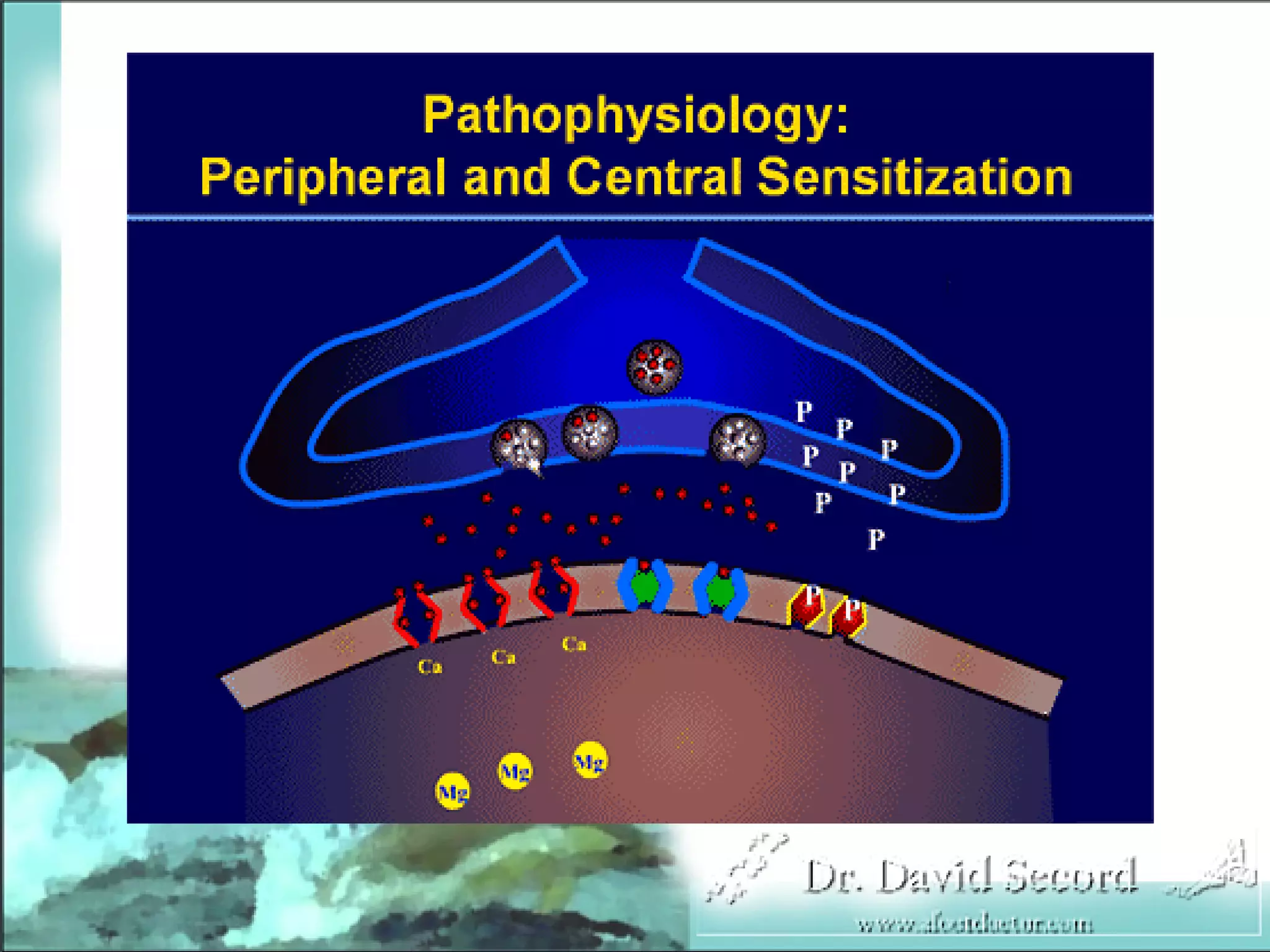 Neuropathic Pain Lecture