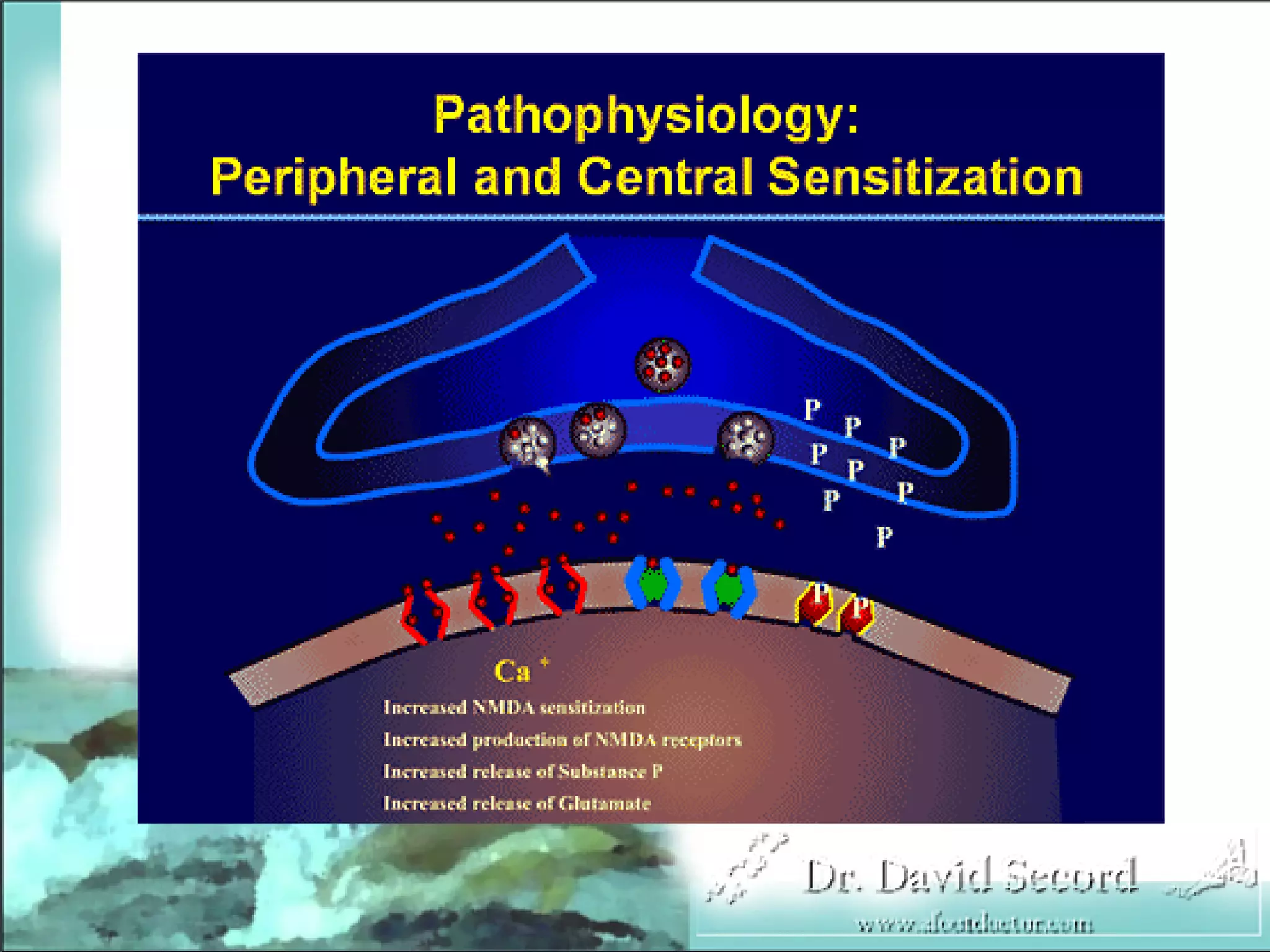 Neuropathic Pain Lecture