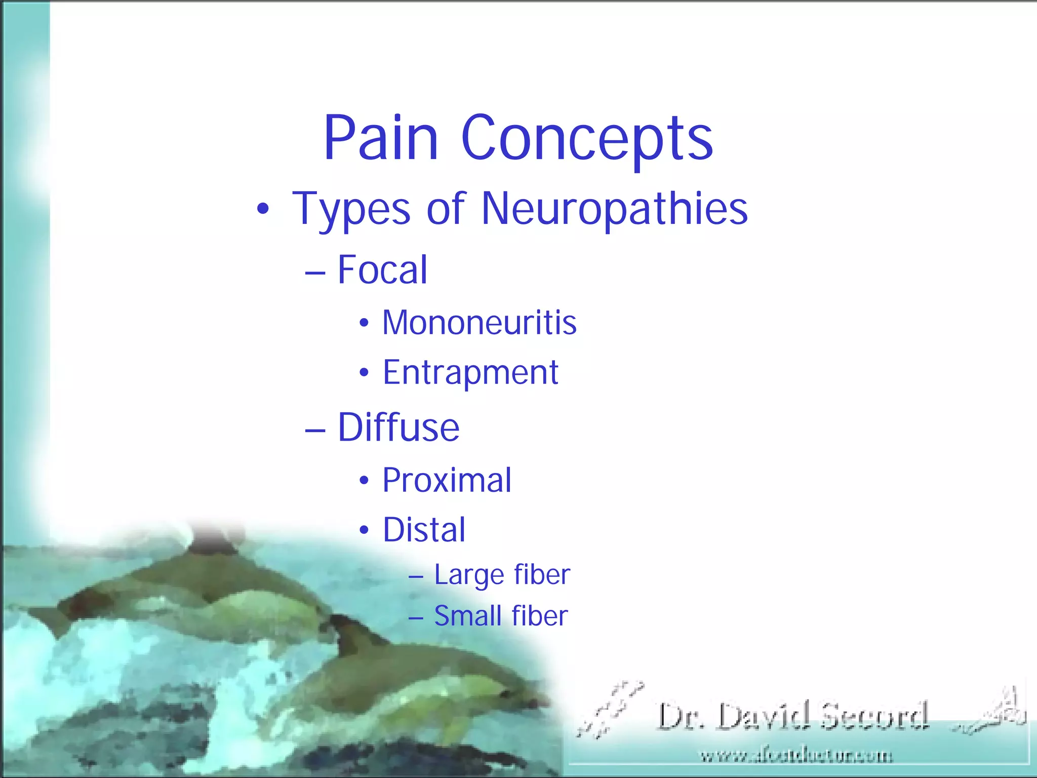 Neuropathic Pain Lecture