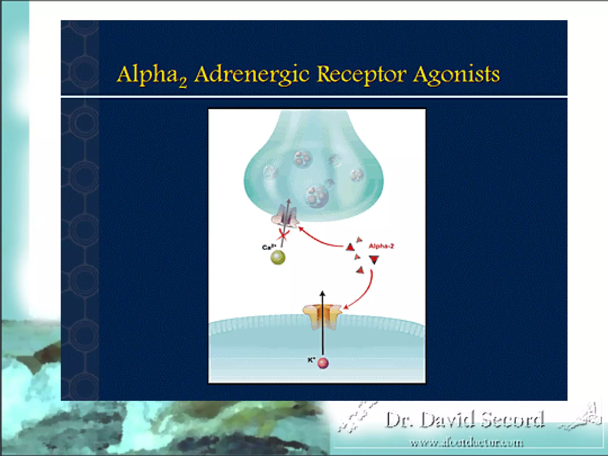 Neuropathic Pain Lecture