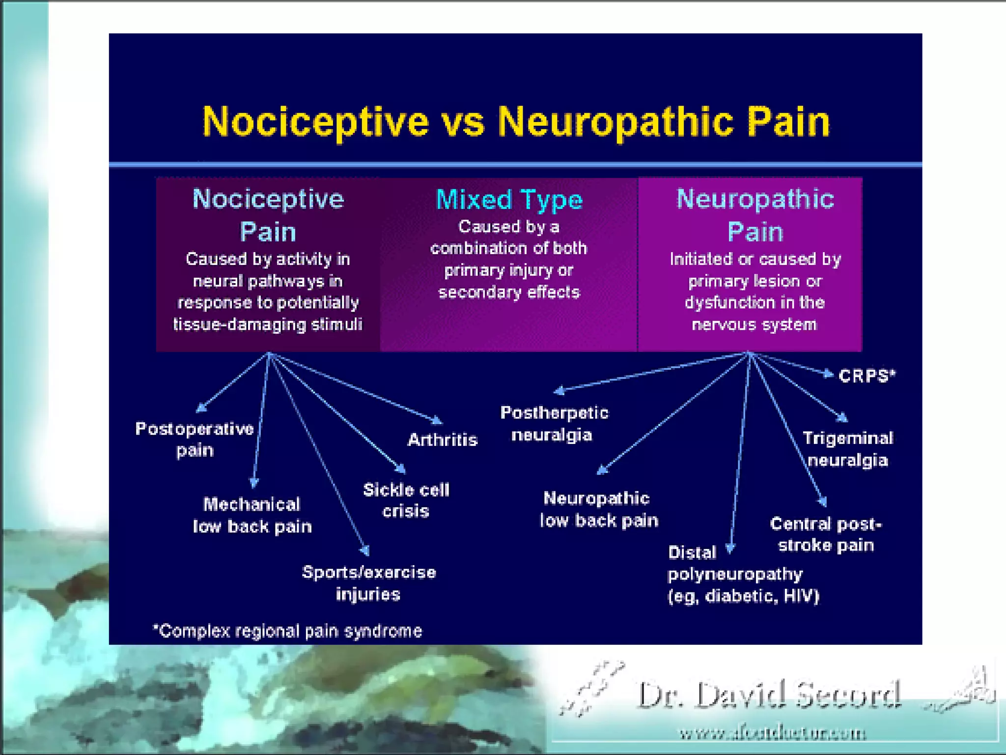 Neuropathic Pain Lecture
