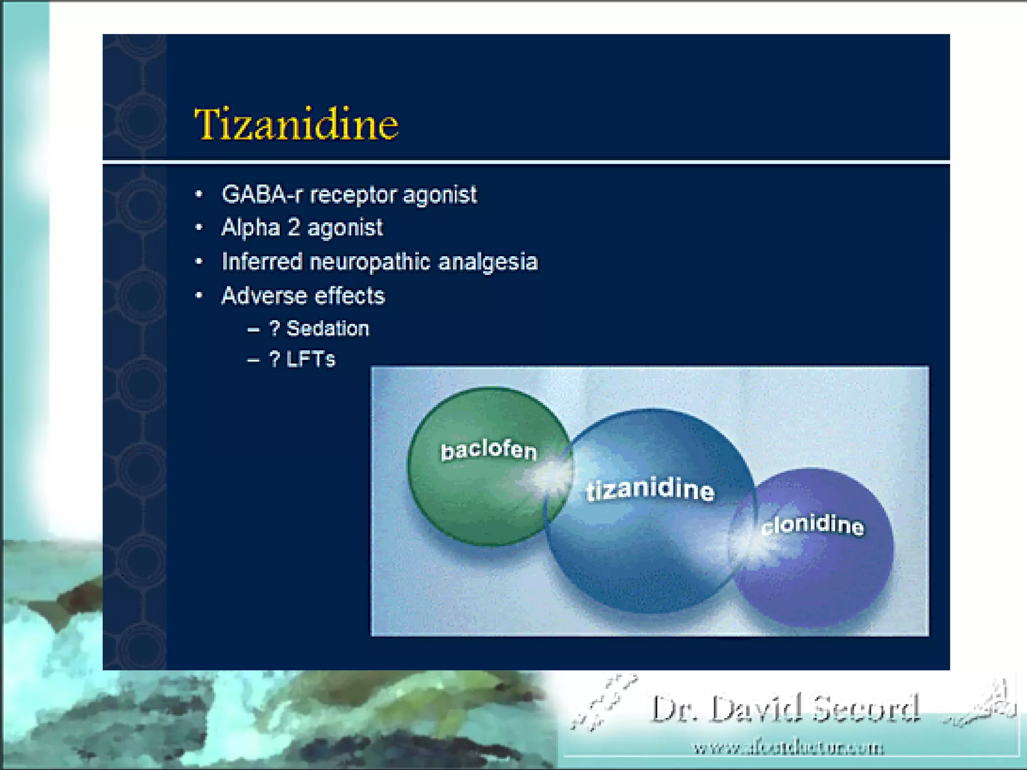 Neuropathic Pain Lecture