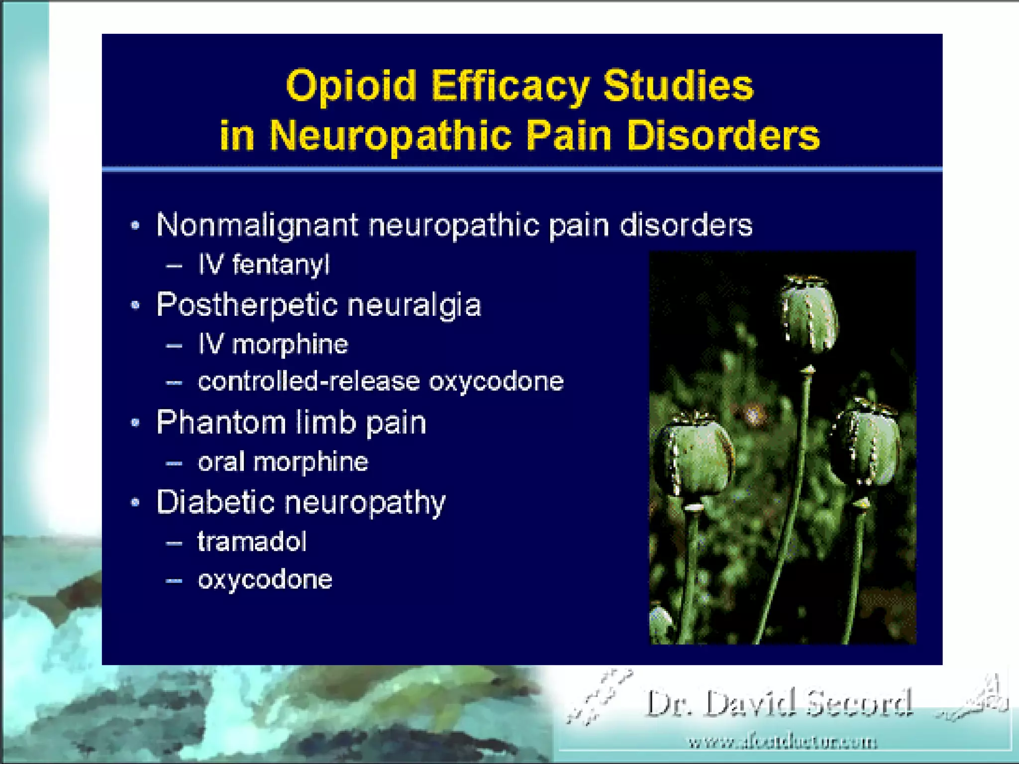 Neuropathic Pain Lecture