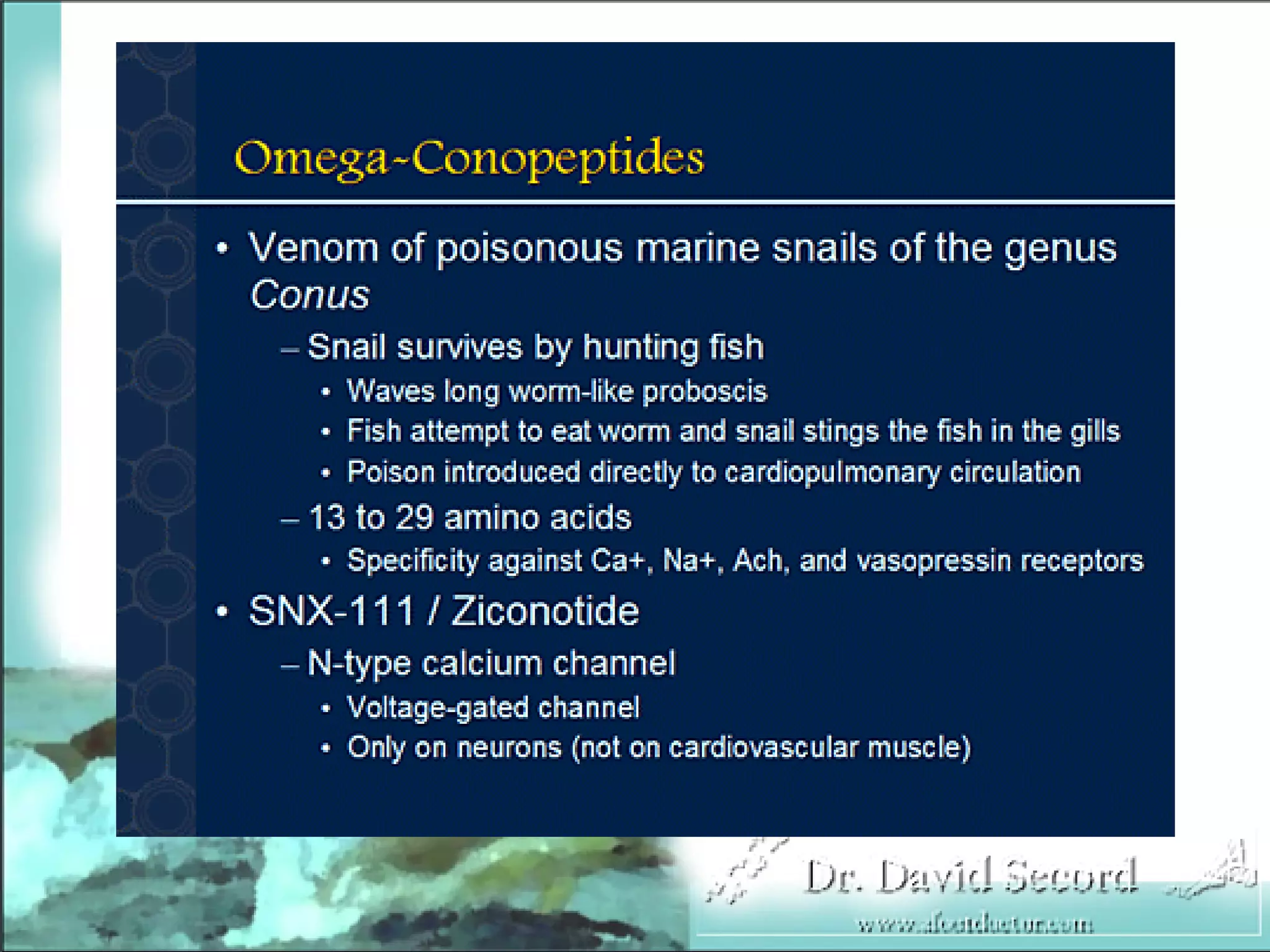 Neuropathic Pain Lecture