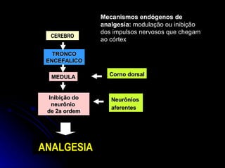 ANALGESIA Inibição do neurônio  de 2a ordem Mecanismos endógenos de analgesia:  modulação ou inibição dos impulsos nervoso...