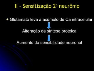 II – Sensitização 2 o  neurônio <ul><li>Glutamato leva a acúmulo de Ca intracelular </li></ul><ul><li>Alteração da síntese...