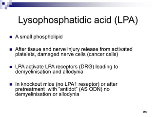 neuropathic pain syndrome.ppt