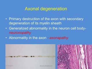 Axonal degeneration

• Primary destruction of the axon with secondary
  degeneration of its myelin sheath
• Generalized abnormality in the neuron cell body-
  neuronopathy
• Abnormality in the axon - axonapathy




11/19/2011           Jipmer physiologist         16
 