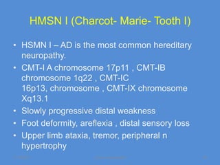 HMSN I (Charcot- Marie- Tooth I)

• HSMN I – AD is the most common hereditary
  neuropathy.
• CMT-I A chromosome 17p11 , CMT-IB
  chromosome 1q22 , CMT-IC
  16p13, chromosome , CMT-IX chromosome
  Xq13.1
• Slowly progressive distal weakness
• Foot deformity, areflexia , distal sensory loss
• Upper limb ataxia, tremor, peripheral n
  hypertrophy
11/19/2011            Jipmer physiologist           20
 