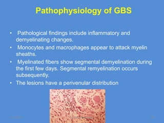 Pathophysiology of GBS

•  Pathological findings include inflammatory and
  demyelinating changes.
• Monocytes and macrophages appear to attack myelin
  sheaths.
• Myelinated fibers show segmental demyelination during
  the first few days. Segmental remyelination occurs
  subsequently.
• The lesions have a perivenular distribution




11/19/2011             Jipmer physiologist            26
 