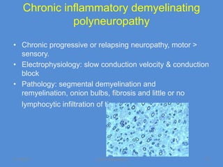 Chronic inflammatory demyelinating
               polyneuropathy

• Chronic progressive or relapsing neuropathy, motor >
  sensory.
• Electrophysiology: slow conduction velocity & conduction
  block
• Pathology: segmental demyelination and
  remyelination, onion bulbs, fibrosis and little or no
    lymphocytic infiltration of tissue.




11/19/2011                  Jipmer physiologist         27
 