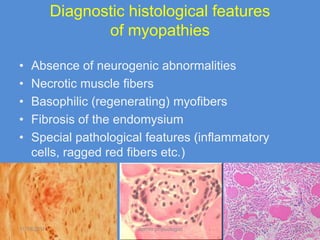 Diagnostic histological features
                    of myopathies

•   Absence of neurogenic abnormalities
•   Necrotic muscle fibers
•   Basophilic (regenerating) myofibers
•   Fibrosis of the endomysium
•   Special pathological features (inflammatory
    cells, ragged red fibers etc.)




11/19/2011               Jipmer physiologist      57
 
