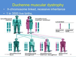 Duchenne muscular dystrophy
• X-chromosome linked, recessive inheritance
• 1 in 3500 live births,




11/19/2011             Jipmer physiologist     60
 